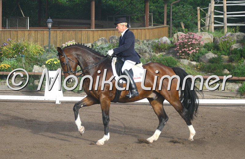 009M1305_e_Louis Vuitton_Dressur Mxx.jpg